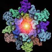 Hiv-1 Capsid In Intact Virus Particle Art Print