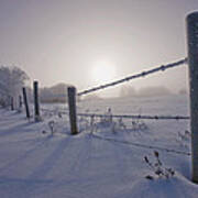 Hoar Frost And Barbed Wire Fence Art Print