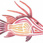 Hogfish Art Print