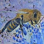 Honey Bee Art Print