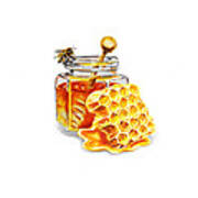 Honey Jar And Honeycomb Art Print