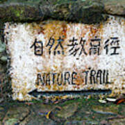 Hong Kong, Tai Po Kau Nature Park Trail Art Print