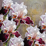 Hood Canal Iris Art Print