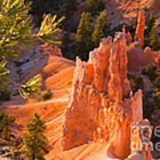 Hoodoo From Sunset Point Bryce Canyon National Park Art Print