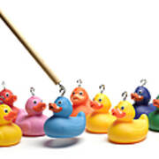 Hooking Multi Coloured Rubber Ducks Art Print