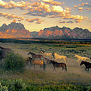 Horse Drive At Teton Sunrise Art Print