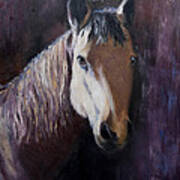 Horse Painting Art Print