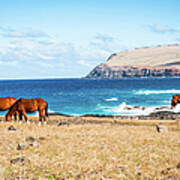 Horses & Sea, Easter Island Art Print