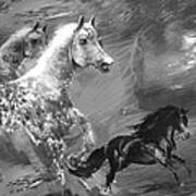 Horses Art Print