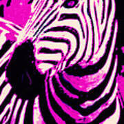 Hot Pink Zebra Art Print