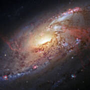 Hubble View Of M 106 Art Print
