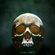 Human Skull Art Print