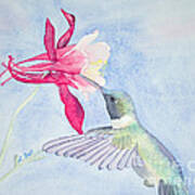 Hummingbird And Columbine Art Print