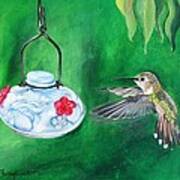 Hummingbird And The Feeder Art Print