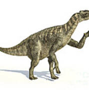 Iguanodon Dinosaur In Dynamic Posture Art Print