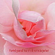 Imperfect Rose Art Print
