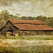In The Country Art Print