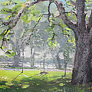 In The Shade Of The Big Tree Art Print