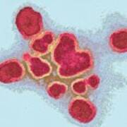 Influenza A Virus Particles Art Print