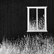 Infrared Barn Art Print