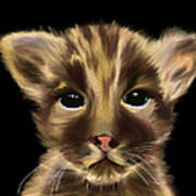 Cute Animal Panther Cub On A Black Background Art Print