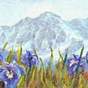 Iris Field In Alaska Art Print