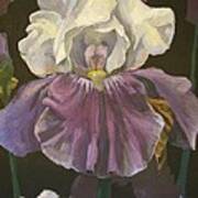 Iris Inside Art Print