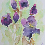 Irises Art Print