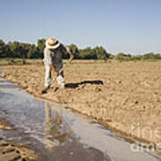 Irrigation In Arizona Desert Art Print