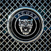 Jaguar Grille Emblem -0317c Art Print