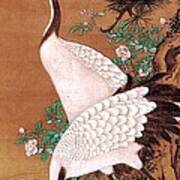 Japanese Cranes Art Print