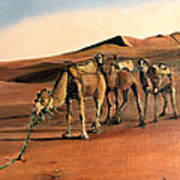 Just Us Camels Art Print