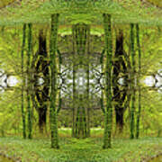 Kaleidoscope Ivy Trees Art Print