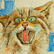 Kentucky Wildcats Art Print