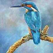 Kingfisher Art Print