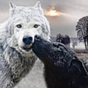 Kissing Wolves Art Print