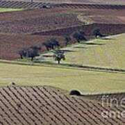 La Mancha Landscape - Spain Series-cinco Art Print