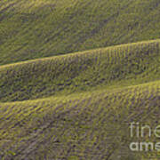 La Mancha Landscape - Spain Series-dos Art Print