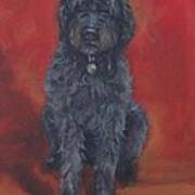 Labradoodle Art Print