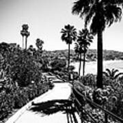 Laguna Beach Heisler Park In Black And White Art Print