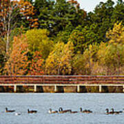 Lake At Kennedy Park Art Print