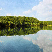 Lake Reflection In Citrus County, Florida Art Print