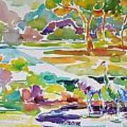 Landscape With Sand Hill Cranes Art Print