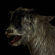 Laughing Goat - 0312 F Art Print