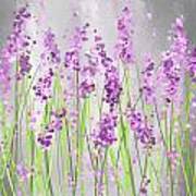 Lavender Blossoms - Lavender Field Painting Art Print