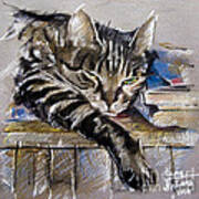 Lazy Cat Portrait - Drawing Art Print