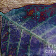 Leaf Abstract Art Print