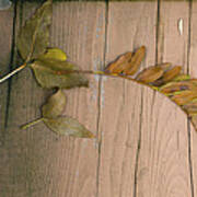 Leaves On A Wooden Step Art Print