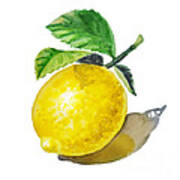 Artz Vitamins The Lemon Art Print