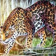 Leopard On The Loose Art Print
